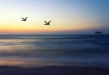 Bir Marka Kent İSTANBUL