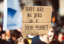 Sosyal Medyanın Sivil ve Siyasi Katılım Üzerindeki Etkileri ve Facebook Hakkında Bir Saha Araştırması