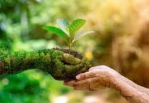 SKD Türkiye / 100 Maddede Sürdürülebilirlik REHBERI